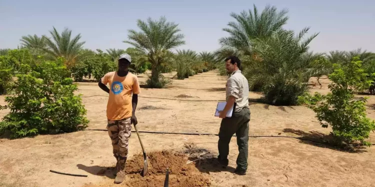 Delegación israelí combate la desertificación en Chad