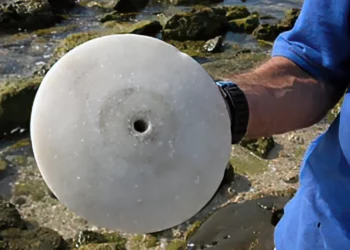 Submarinista halla disco de 2.500 años de antigüedad