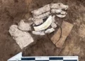 Hallado dragón neolítico de conchas de mejillón en Mongolia