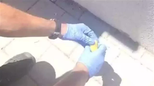 Policía de Israel halla droga oculta en un huevo