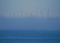 Subasta masiva de energía eólica marina en el Golfo de México