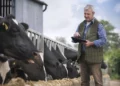 Irlanda: sacrificar 200,000 vacas para alcanzar objetivos climáticos