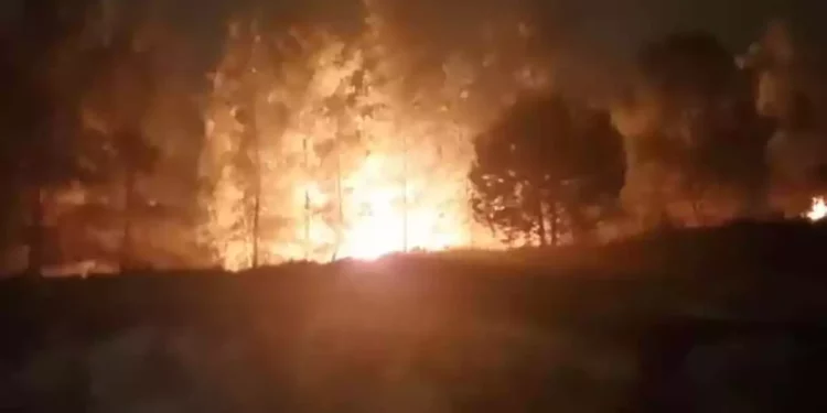 Incendio en Gush Etzion probablemente provocado por árabes