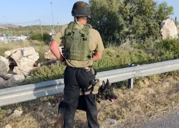 A la caza de un terrorista armado en las montañas de Samaria