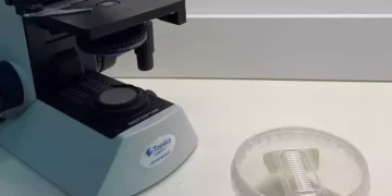 Startup israelí desarrolla envases plásticos a base de hongos