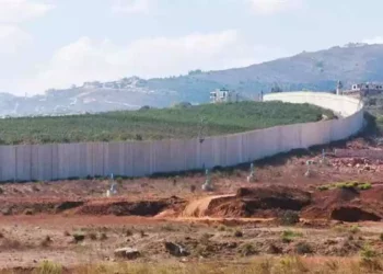 FDI usa método de dispersión en la frontera con Líbano
