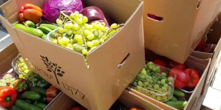 Aprobados cupones de alimentos para los necesitados en Israel
