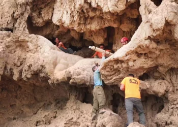 Los arqueólogos retiran con cuidado las espadas de la entrada de la cueva donde fueron descubiertas en el desierto de Judea. (Emil Aladjem/IAA)