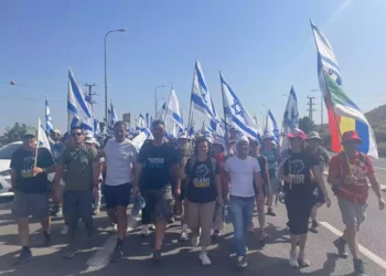 Drusos protestan contra parque eólico en los Altos del Golán