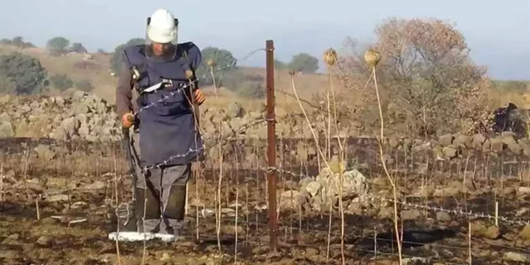 Ministerio de Defensa inicia retiro de minas en el norte de Israel
