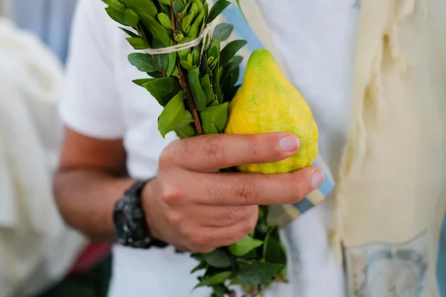 Israel prohíbe importación de las Cuatro Especies para Sucot