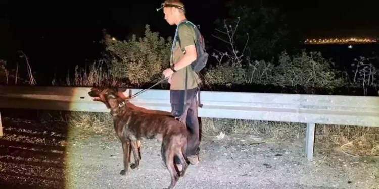 Unidad canina en busca de un desaparecido en Mazkeret Batya