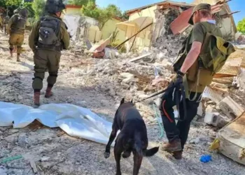 Unidad Canina busca desaparecidos tras ataque de Hamás a Israel