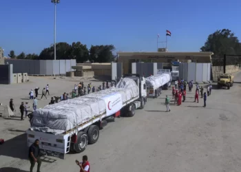 Camiones de la Media Luna Roja egipcia que transportan ayuda humanitaria para la Franja de Gaza cruzan la puerta fronteriza de Rafah, en Rafah, Egipto, el sábado 21 de octubre de 2023. (AP Photo/Mohammed Asad)