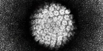 Biopsias líquidas eficaces en recurrencia de cáncer cervical