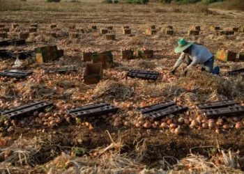 Gobierno insta a israelíes a consumir productos locales