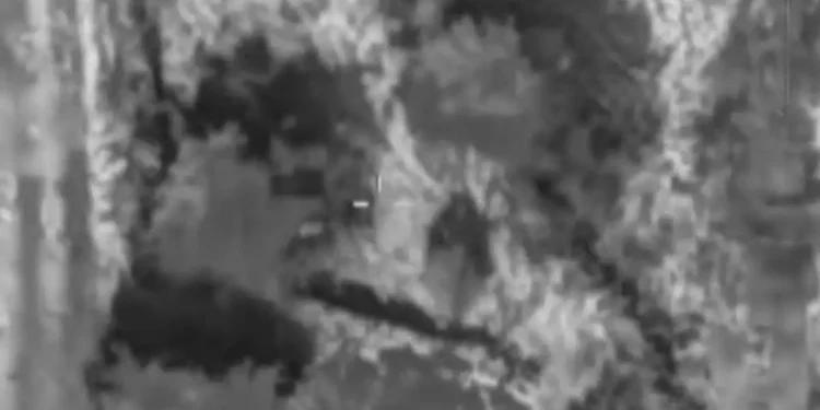 Dron de las FDI elimina a terrorista en el Líbano