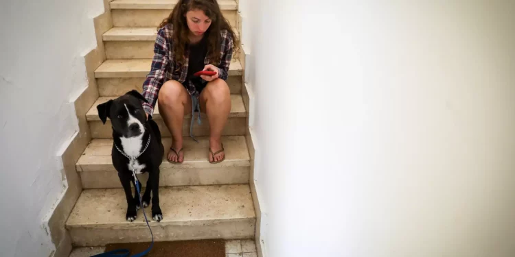 Una mujer y su perro se refugian en una escalera en Jerusalén, mientras suena una sirena de alerta roja durante un bombardeo de cohetes disparados desde Gaza hacia Israel, 7 de octubre de 2023. (Noam Revkin Fenton/Flash90)