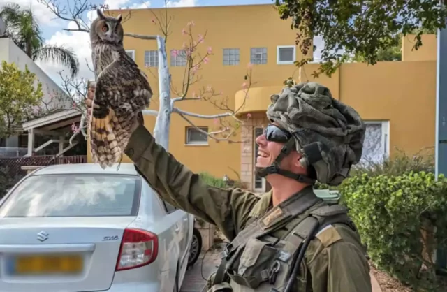 Soldado israelí rescata a un búho herido en el kibutz Kfar Aza