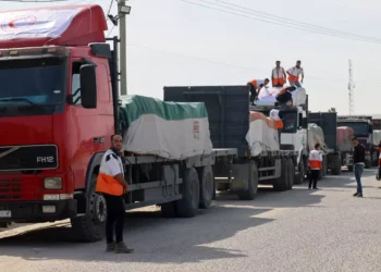 Las FDI afirman que no hay crisis humanitaria en Gaza