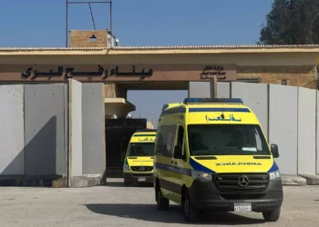 Ambulancias cruzan hacia el lado egipcio de la frontera con la Franja de Gaza en Rafah, el 1 de noviembre de 2023, mientras transportan heridos a hospitales de campaña egipcios. (AFP)