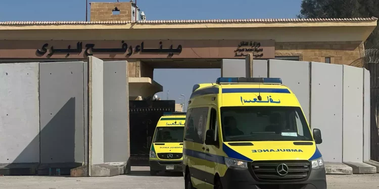 Ambulancias cruzan hacia el lado egipcio de la frontera con la Franja de Gaza en Rafah, el 1 de noviembre de 2023, mientras transportan heridos a hospitales de campaña egipcios. (AFP)
