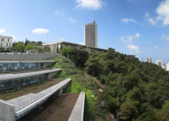 Universidad de Haifa dará becas a estudiantes en la guerra