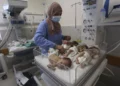Una enfermera atiende a bebés palestinos nacidos prematuramente que fueron trasladados del hospital Shifa de la ciudad de Gaza al hospital de Rafah, Franja de Gaza, 19 de noviembre de 2023. (AP Photo/Hatem Ali)