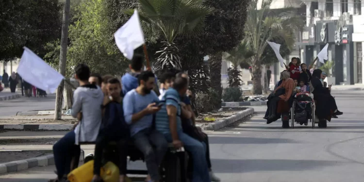 Palestinos en carros tirados por burros sostienen banderas blancas mientras huyen de la ciudad de Gaza el 8 de noviembre de 2023. (AP/Abed Khaled)