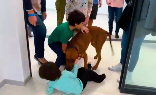 Niños liberados se reúnen con su perro en hospital Israelí