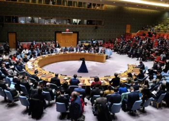Consejo de Seguridad de la ONU aprueba resolución sobre ayuda a Gaza: No pide alto el fuego