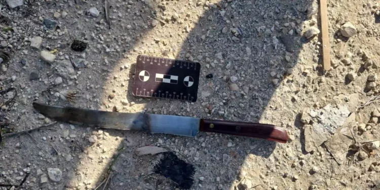 Las FDI frustran ataque islamista con cuchillo en Judea y Samaria