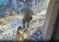 Perros de las FDI en Gaza someten a terroristas de Hamás
