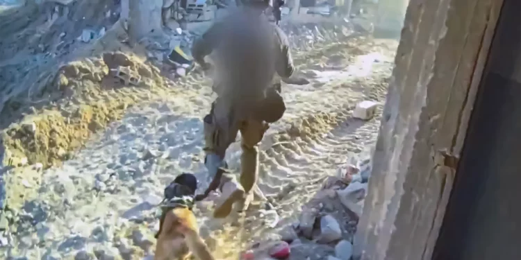 Perros de las FDI en Gaza someten a terroristas de Hamás