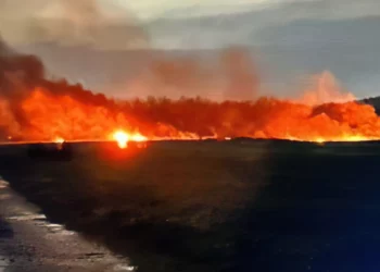 Un avión no tripulado de las FDI se estrella cerca de Gedera