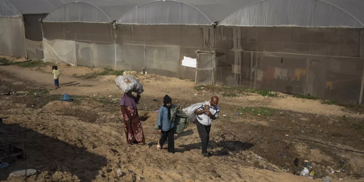 La UNICEF informa que niños y embarazadas en la Franja de Gaza luchan por cubrir sus necesidades nutricionales básicas.