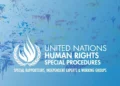 Expertos en derechos humanos de la ONU elogian el caso en la CIJ y acusan a Israel de actuar “con impunidad”