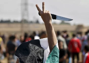 Desde angtes de que se apodaran “palestinos”, su causa es asesinar judíos