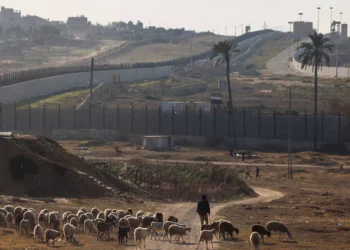 Egipto teme que operación israelí en Ruta Filadelfia provoque migración de gazatíes