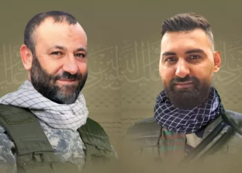 Un ataque de las FDI con un dron mata a dos miembros de Hezbolá