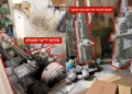 FDI hallan fábrica de explosivos y cohetes de Hamás en ciudad de Gaza