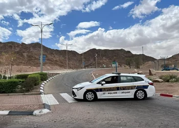 Escuadrón de defensa civil de un civil matan a un infiltrado árabe