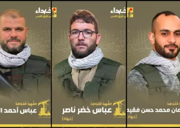 Ataques de Israel matan a tres terroristas de Hezbolá
