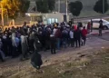 Cientos de palestinos entran sin control en zona industrial de Judea y Samaria por corte de electricidad