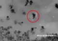 Vídeo: Terroristas disparan a gazatíes ante ayuda humanitaria