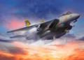 El F-14 Tomcat desafiaba los límites