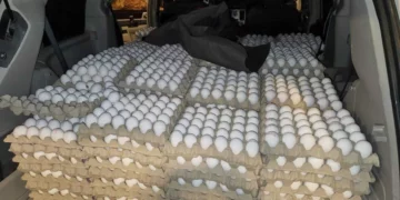 Ministerio de Agricultura incautó 130.000 huevos de contrabando
