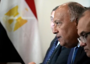 Ministro egipcio optimista sobre propuesta de tregua en Gaza