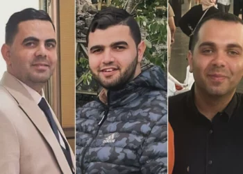 Las FDI y el Shin Bet confirman eliminación de los hijos de Haniyeh