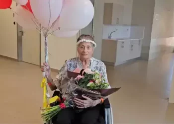 https://israelnoticias.com/reemplazador/